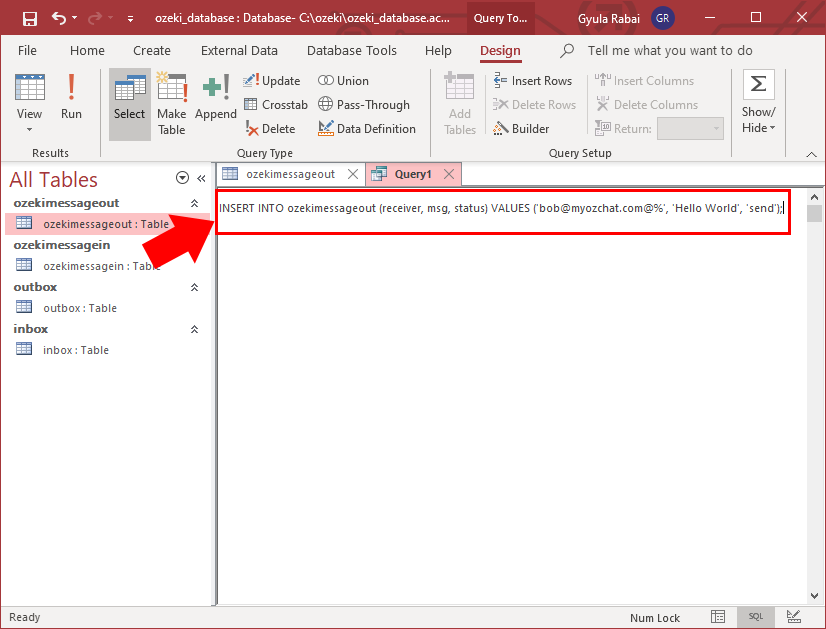 insert message into database