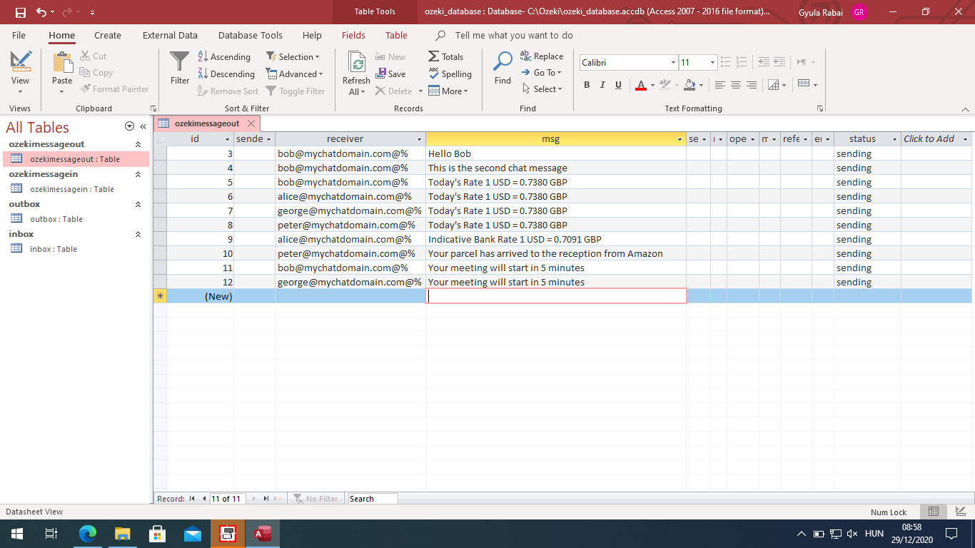 ozekimessageout table with example chat messages